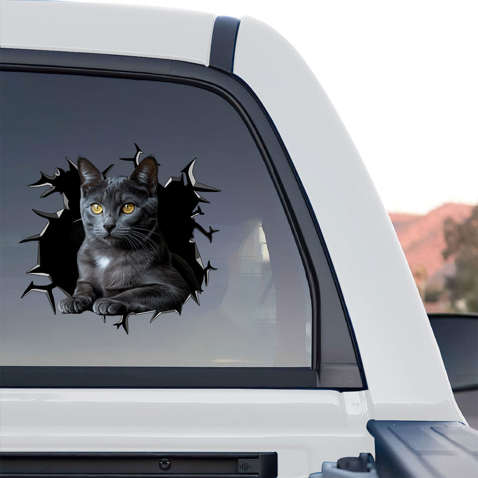 Charming British Shorthair Cat sticker applied smoothly to the rear window of a truck.