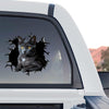 Charming British Shorthair Cat sticker applied smoothly to the rear window of a truck.