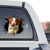 Clear transparent Brittany Spaniel decal showcasing a standalone product design with tongue out.