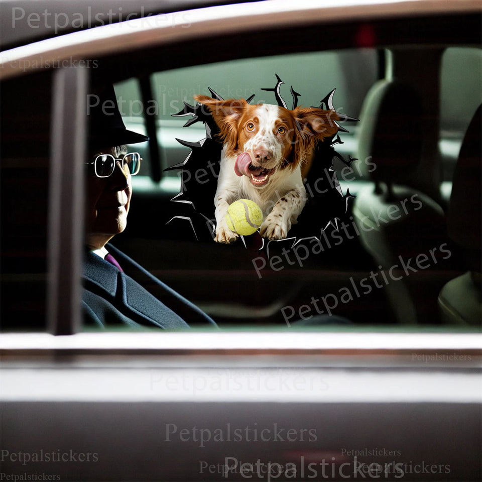Vibrant Brittany Spaniel sticker placed neatly on a vehicle car door for a playful look.