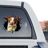 Playful Brittany Spaniel graphic applied to the rear glass of a truck outdoors.