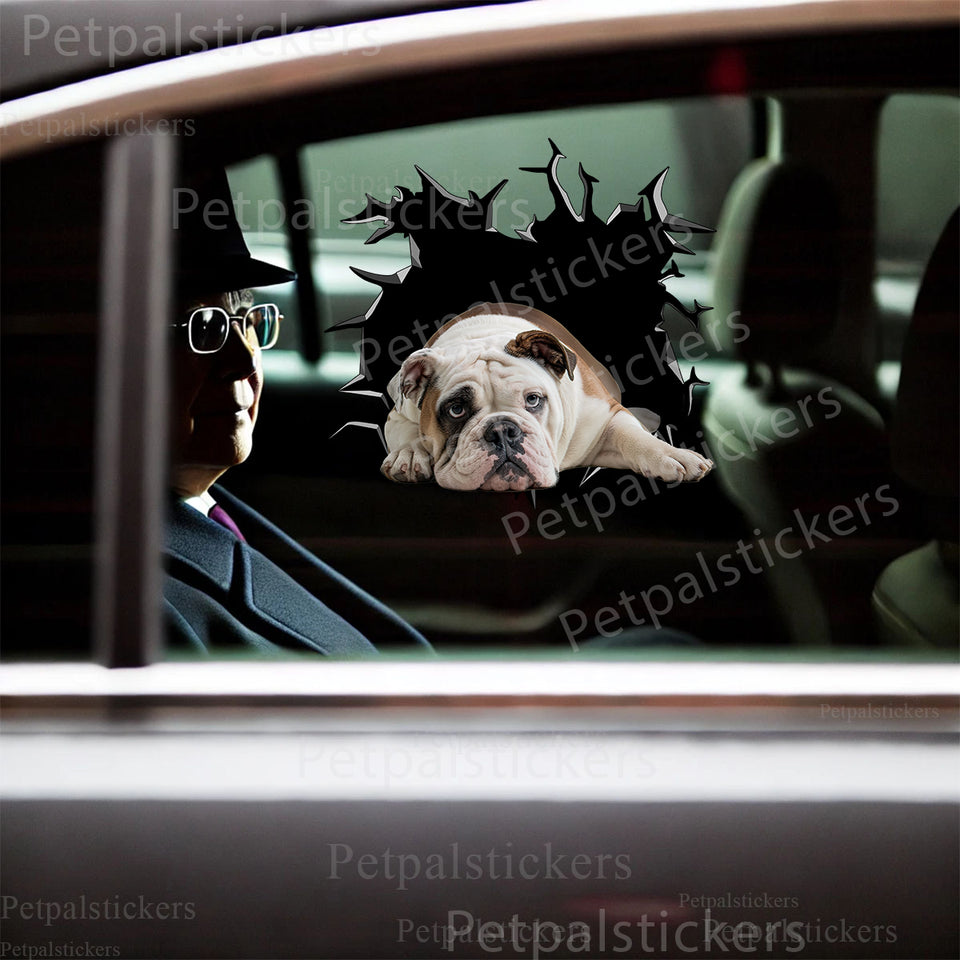 Adhesive Bulldogs vinyl decal applied smoothly to the exterior car door of a white vehicle.