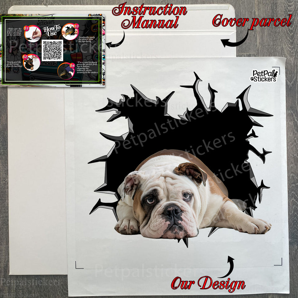 Unboxed Bulldogs decal ready for installation with package details and instructions included.