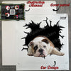 Unboxed Bulldogs decal ready for installation with package details and instructions included.