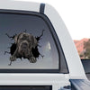 Vibrant Cane Corso decal featuring a standalone product design on clear gloss vinyl film.