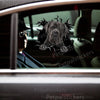 Cane Corso dog sticker applied smoothly to a black car door surface exterior.