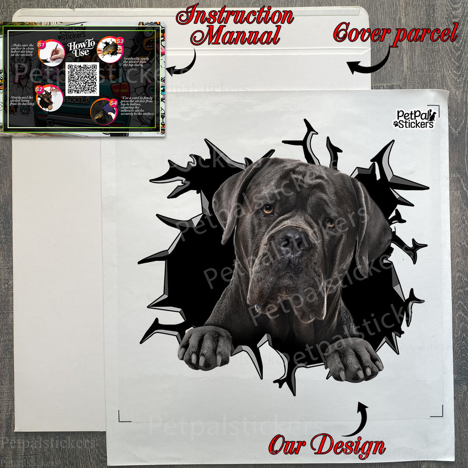 Securely boxed Cane Corso car decal package with clear step-by-step application guide.