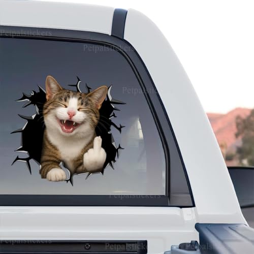 Funny peeking cat artwork featured as a standalone product design on clear glossy vinyl.
