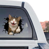 Funny peeking cat artwork featured as a standalone product design on clear glossy vinyl.