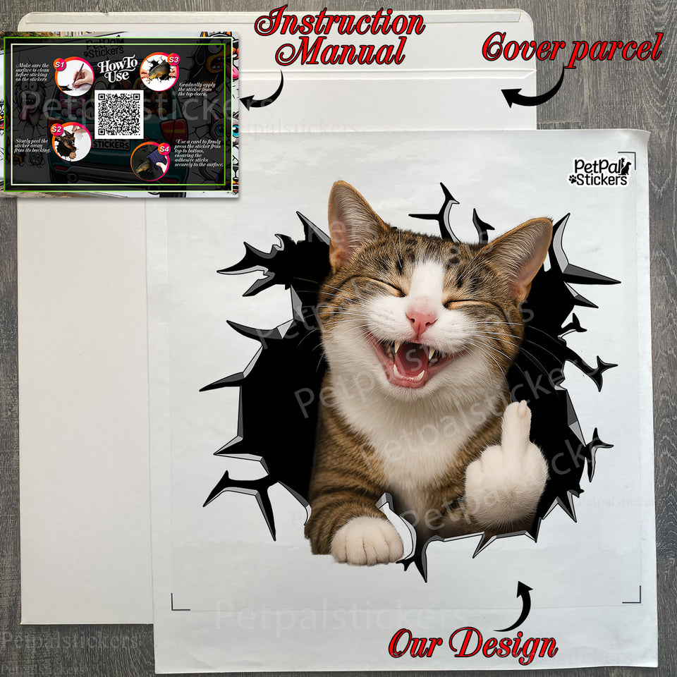 Secure product package containing the glossy cat decal along with clear instructions.