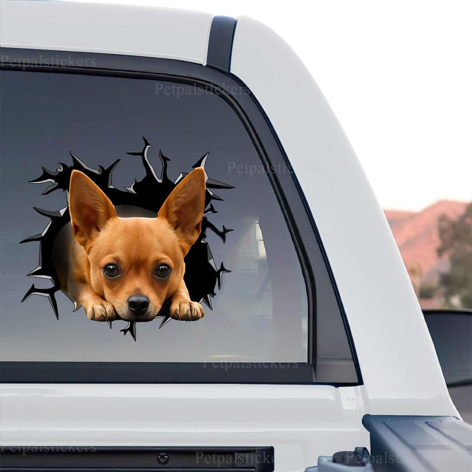 Chihuahua graphic decal shown as a standalone product design on a crisp background.