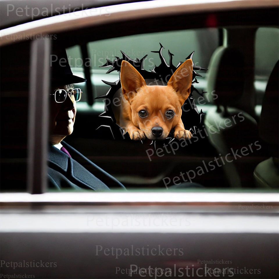 Vibrant Chihuahua decal applied seamlessly onto a sleek white car door.