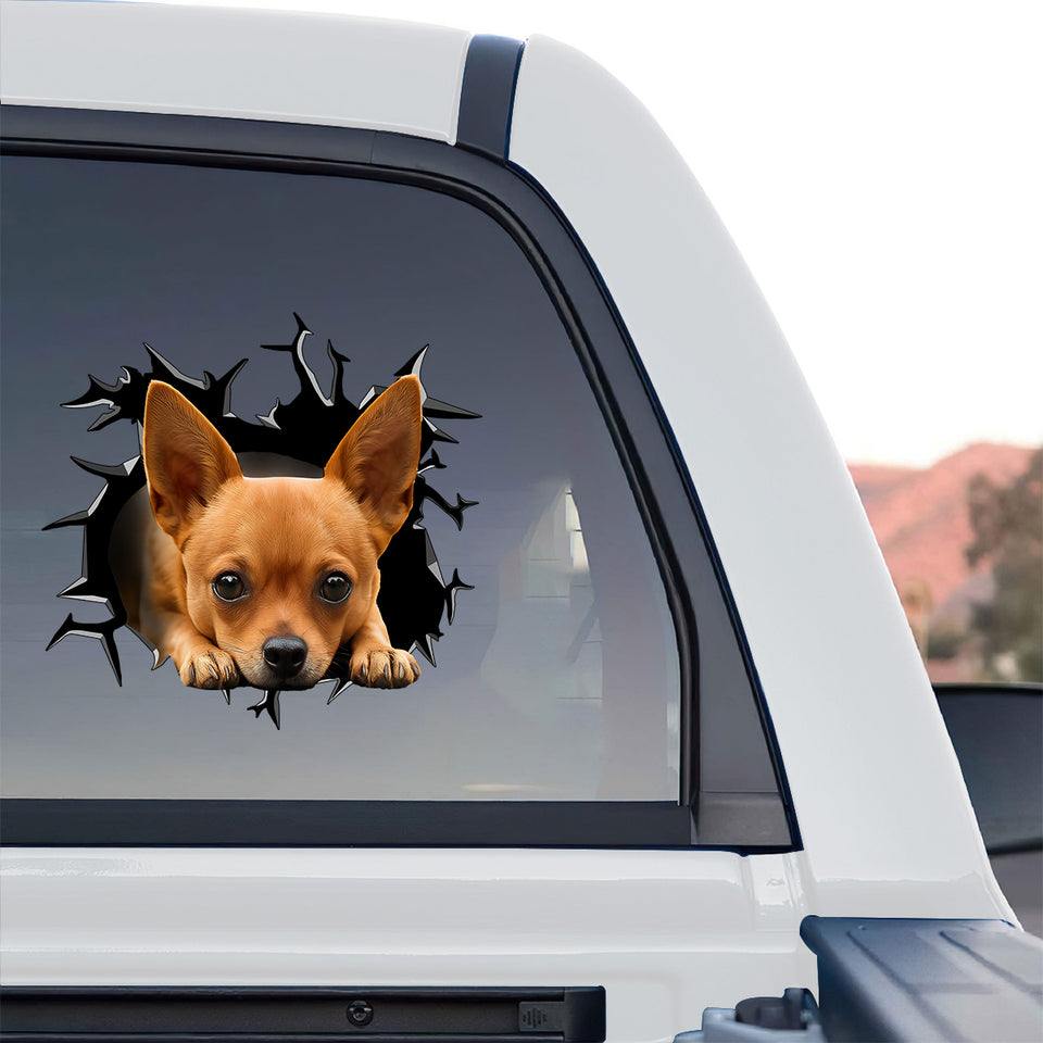 Gloss laminated Chihuahua window sticker adhered cleanly to a truck rear window.