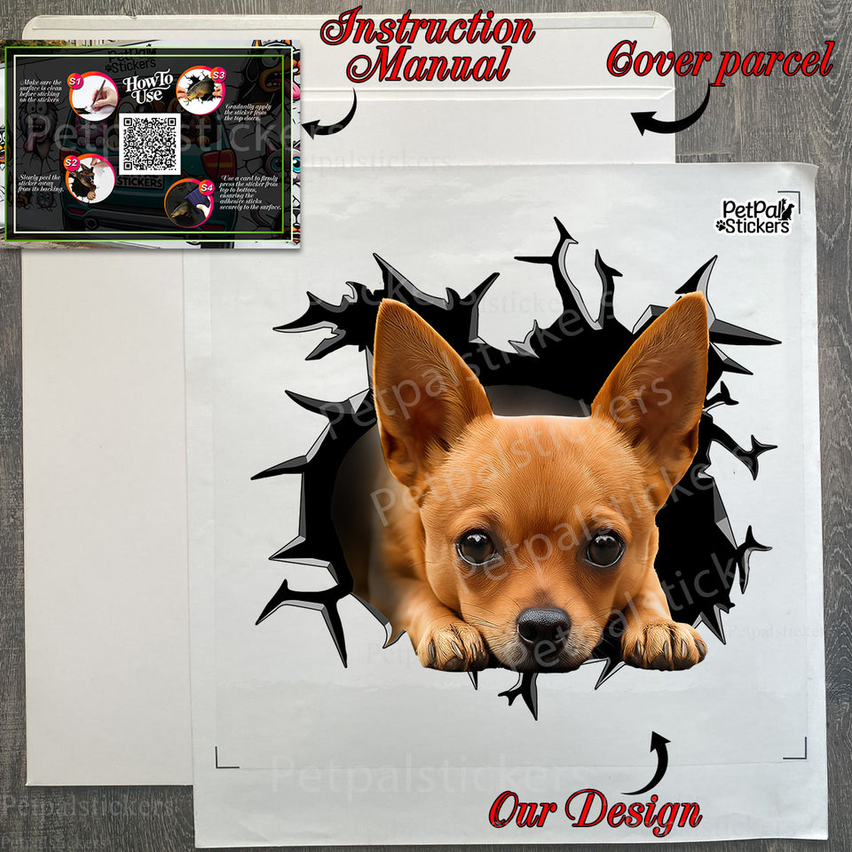Carefully packed Chihuahua car decal with instructions visible inside the package.