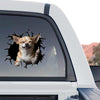Clear gloss Chihuahua dog sticker displayed on the rear window of a truck.