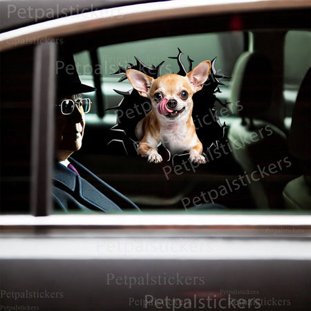 Humorous Chihuahua dog sticker placed on a white bathroom toilet lid for a fun home accent.
