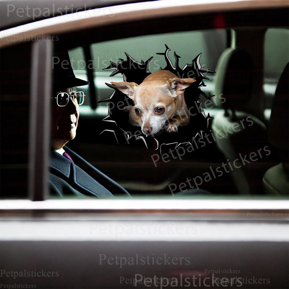 Chihuahua graphic decal applied smoothly onto an exterior car door.