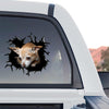 Cute peeking Chihuahua sticker displayed on the rear window of a truck.