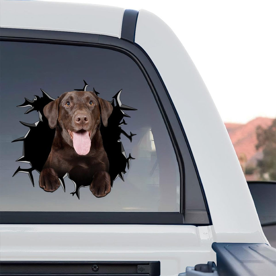 Detailed Chocolate Lab decal standalone product design on transparent vinyl film.