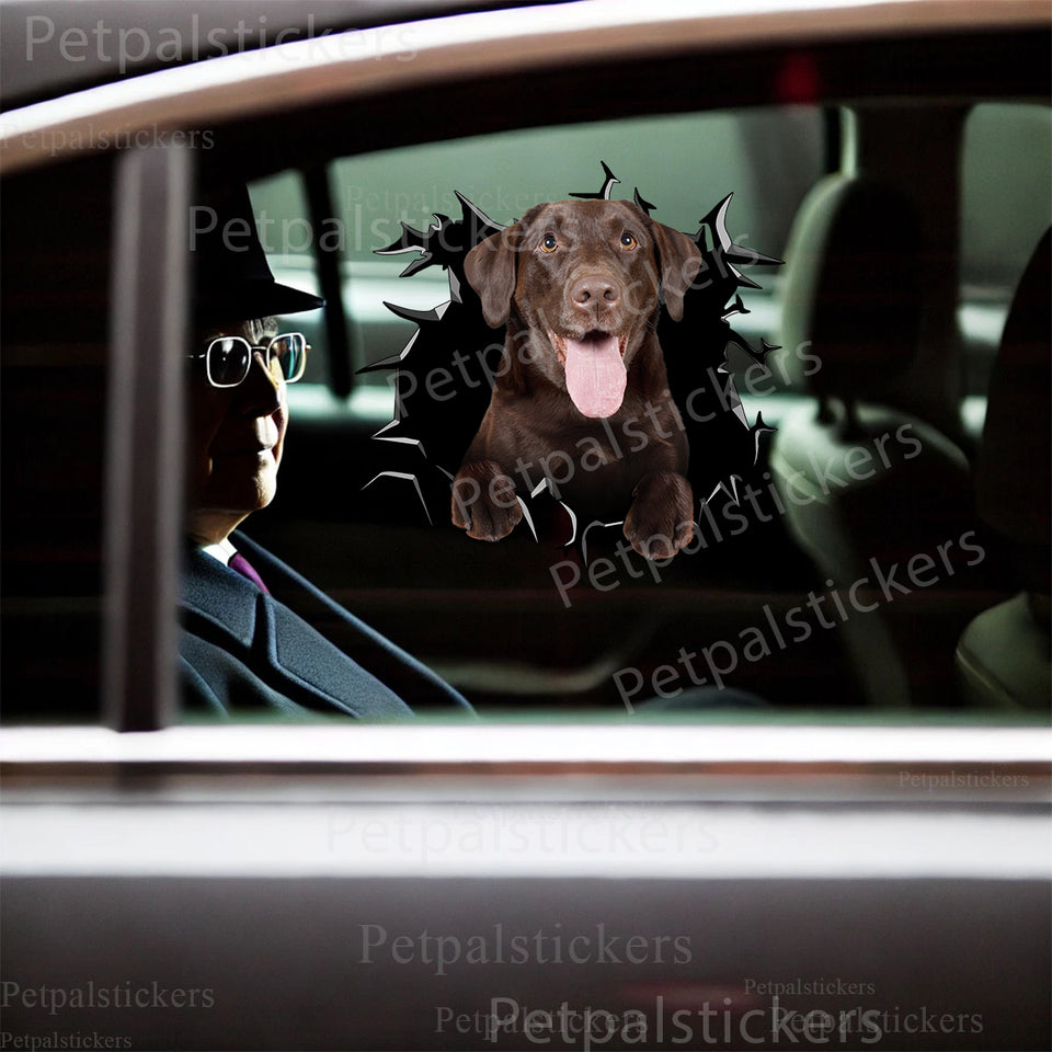 Glossy Chocolate Lab dog sticker displayed on a dark car door exterior.