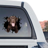 Vibrant Chocolate Lab graphic sticker affixed to the rear window of a truck.