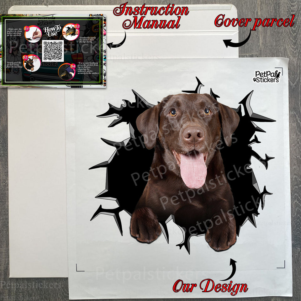 Unboxed Chocolate Lab decal package with step-by-step application instructions.