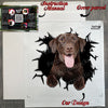 Unboxed Chocolate Lab decal package with step-by-step application instructions.