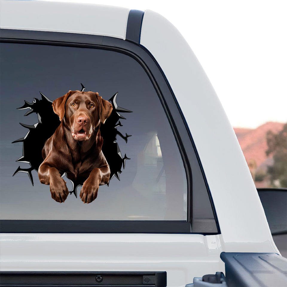 Outdoor vinyl dog decal featuring a brown Labrador applied onto the rear glass of a truck.