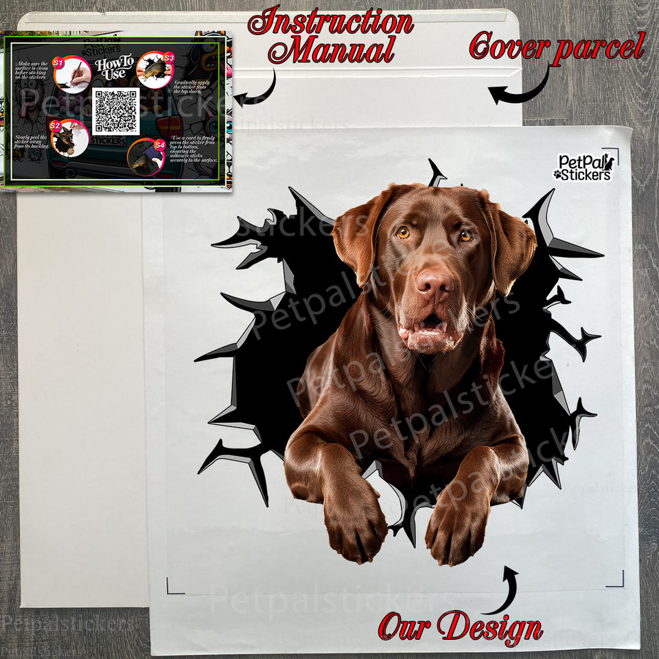 Protective retail package containing the Chocolate Lab vinyl sticker with application guide.