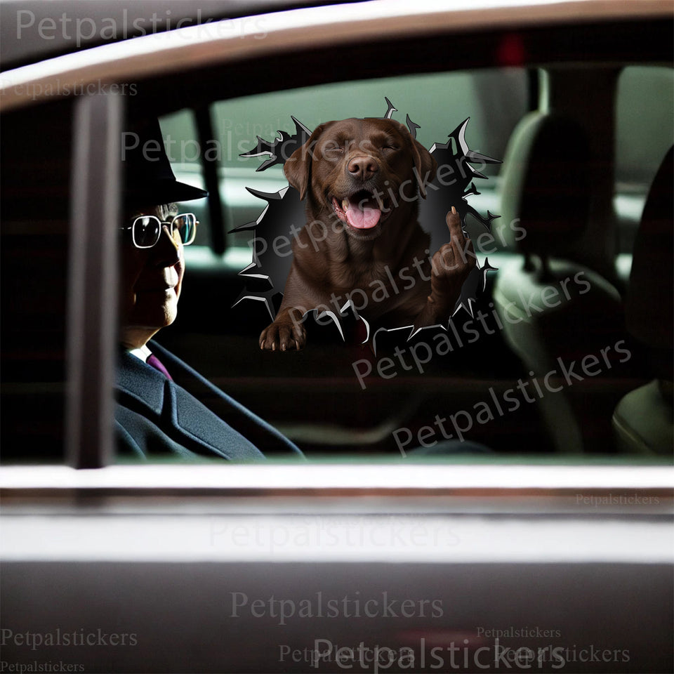 Chocolate Labrador graphic decal displayed cleanly on the smooth exterior of a white car door.