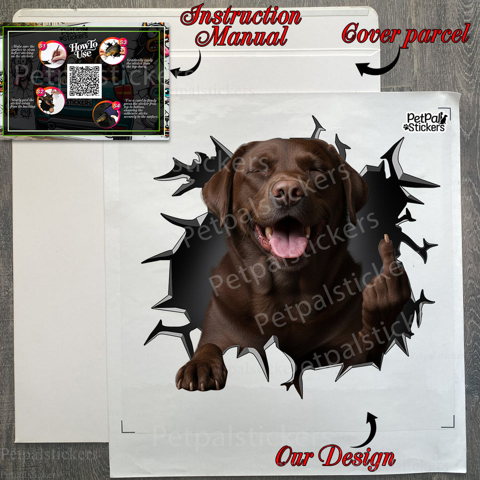 Unopened product package containing the Chocolate Labrador vinyl decal with full instructions.