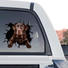 Detailed Chocolate Labrador Retriever graphic artwork in a standalone product design.