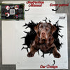 Protective packaging presentation showing the Chocolate Labrador Retriever decal package.