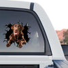 Rear window of a truck decorated with a vibrant Chocolate Labrador Retriever sticker.