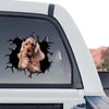 Clear gloss Cocker Spaniel decal graphic in a standalone product design layout.
