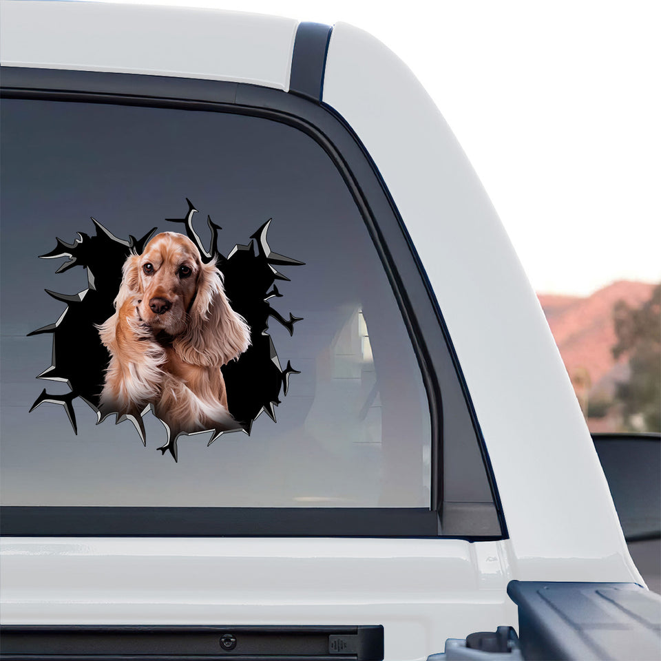 Vibrant Cocker Spaniel pet decal applied to the rear window of a truck.
