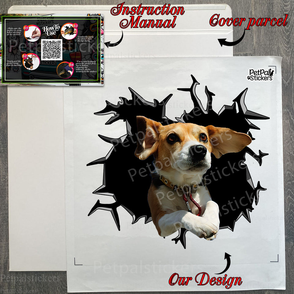 Clear Beagle car decal displayed in its protective retail package with instructions.