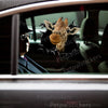 Charming giraffe decal installed on a white car door with gloss finish.