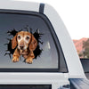 Clear vinyl Dachshund dog art shown as a standalone product design on a white background.