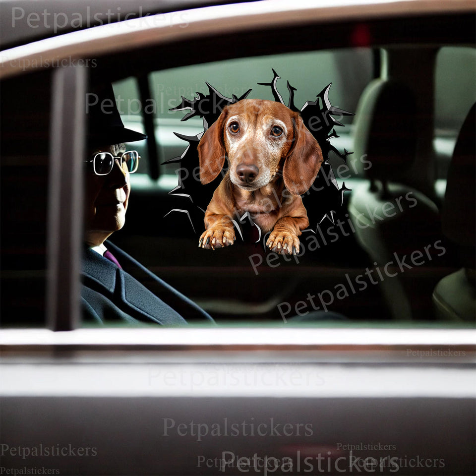 Glossy graphic Dachshund decal positioned cleanly on the exterior car door of a sedan.