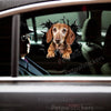 Glossy graphic Dachshund decal positioned cleanly on the exterior car door of a sedan.