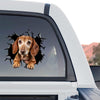 Vibrant Dachshund sticker displayed on the tinted back window of a truck outdoors.