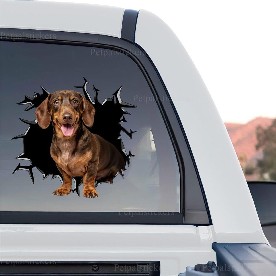 Dachshund vinyl car decal displaying detailed dog artwork on a standalone product design background.