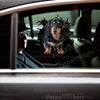 Adorable wiener dog graphic applied smoothly onto a white car door surface.