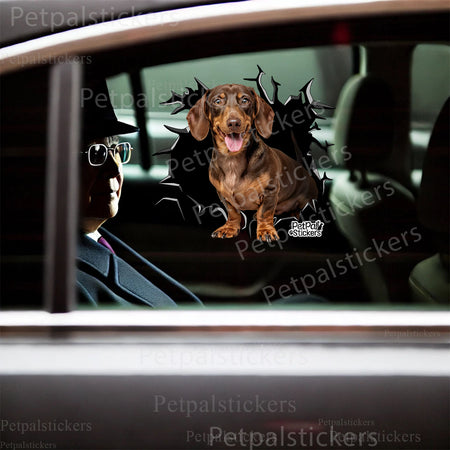 Playful Dachshund vinyl decal installed neatly on the smooth lid of a bathroom toilet.