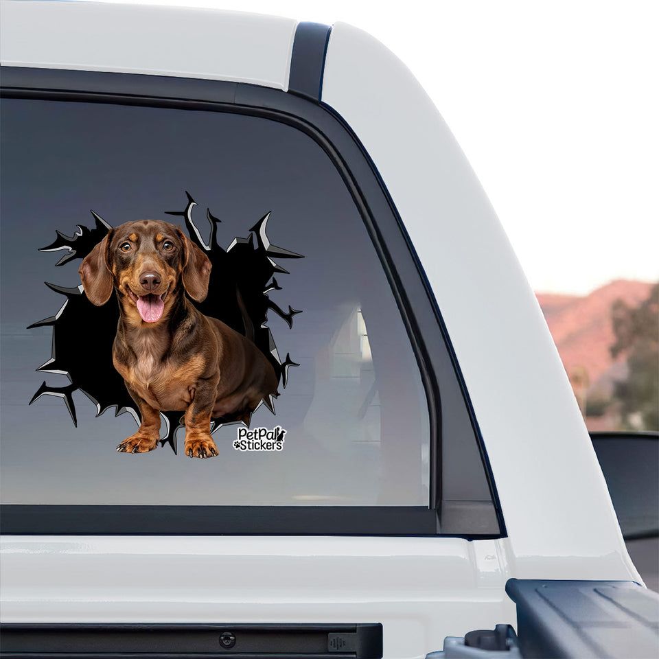 Vibrant Dachshund dog decal applied onto the rear window of a truck for outdoor styling.