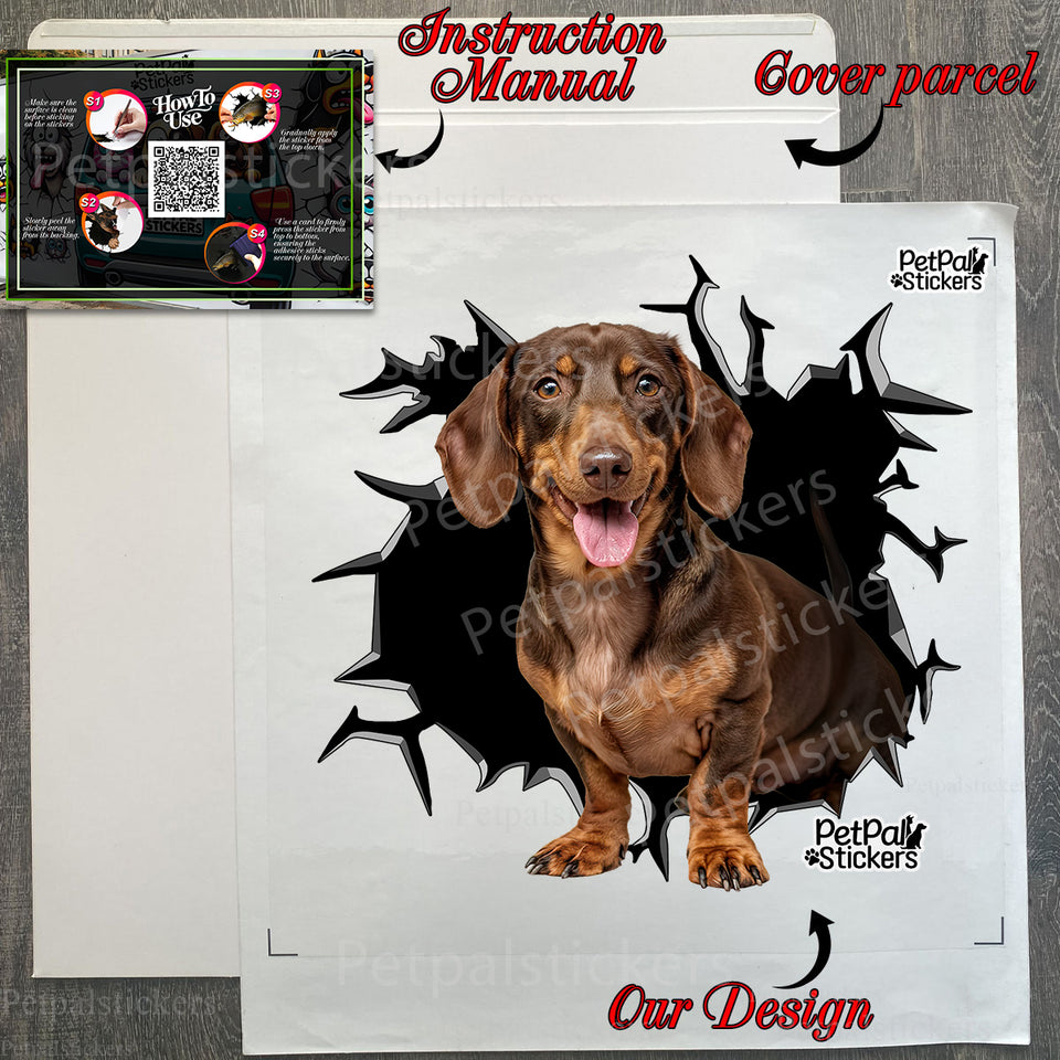 Secure retail package showcasing the premium clear Dachshund graphic decal inside.
