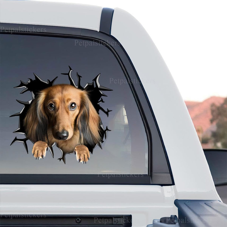 Vibrant Dachshund graphic sticker displayed as a standalone product design on a transparent background.