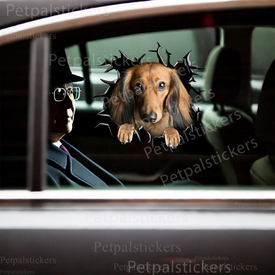 Glossy Dachshund graphic decal smoothly installed on the exterior of a white car door.