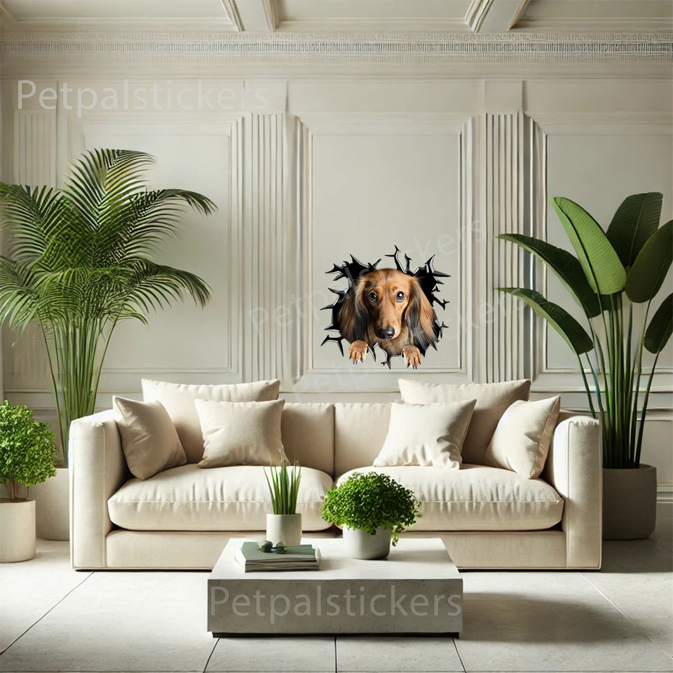 Cute Dachshund pet sticker brightening up an indoor bedroom wall with colorful graphic art.